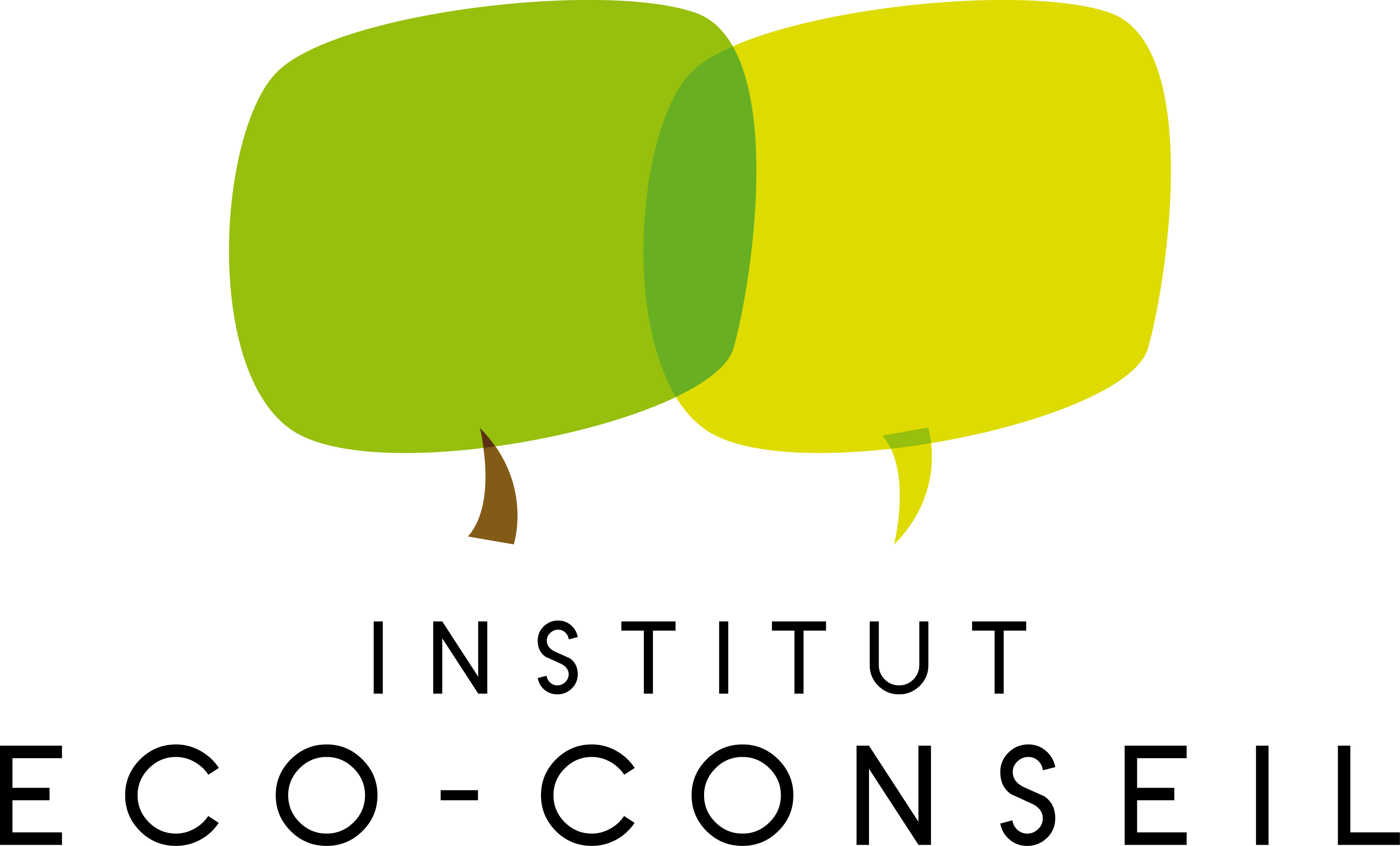 Institut Eco-Conseil / IEC
